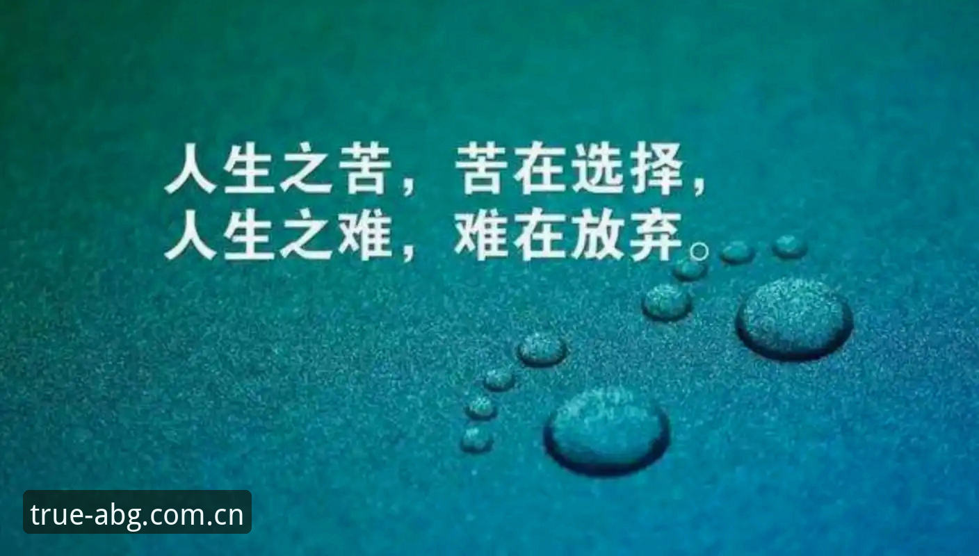 本真主张CN赛事数据 欧博abg平台“本真主张CN赛事数据”深度评测:从信息差到决策优势的量化路径